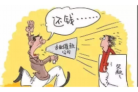 征信里融资担保公司催收：揭秘融资担保行业风险与应对策略