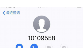 动物系列不催收了：揭秘宠物用品行业的变革与机遇